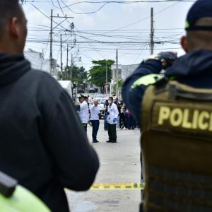 Imagen de referencia 