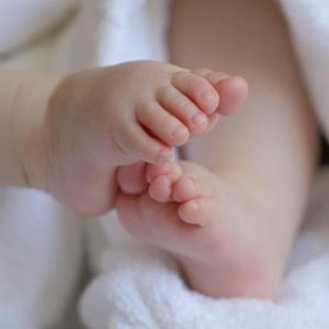 Imagen de referencia 