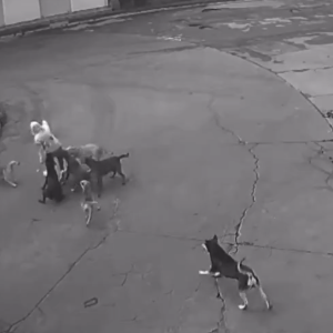 Captura de video del momento de los hechos