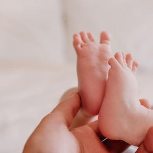 Los pequeños se infectaron con la bacteria Serratia marcescens, un microorganismo resistente a varios antibióticos 