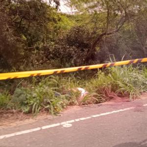 Hasta el momento, las autoridades no han revelado la identidad del occiso