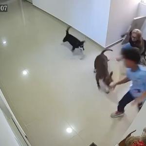 Captura de video del momento de los hechos