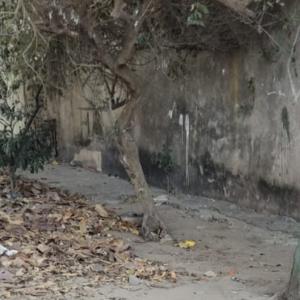 Lugar donde fue encontrado el cadáver 