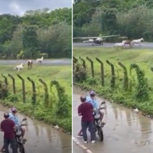 Momento del incidente 