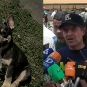 El alcalde de Medellín rechazó contundentemente el hecho