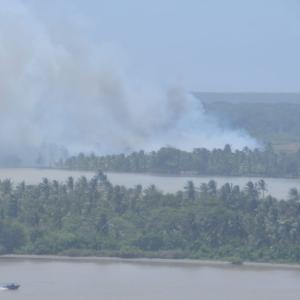 Incendio en Isla Salamanca 