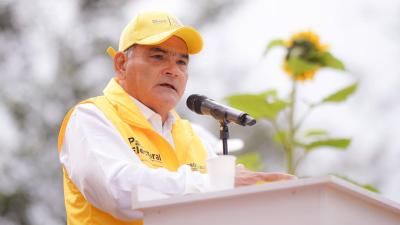 Procurador General
