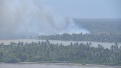 Incendio en Isla Salamanca 