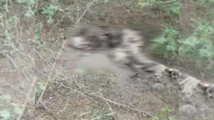 los restos pertenecerían a un adulto mayor que fue reportado como desaparecido 