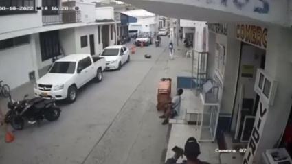 Este es el momento en el que el animal cae al suelo desde un tercer piso.