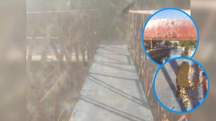 El puente peatonal es usado diariamente por decenas de personas.