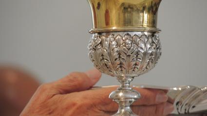 Imagen de referencia