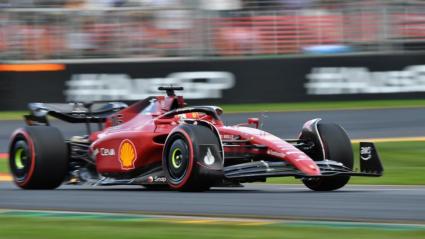 Imagen de referencia. 