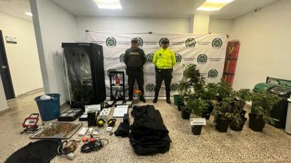 Plantas y objetos incautados.