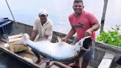 Pescadores con el sábalo que acababan de capturar. 