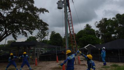 Imagen de referencia. 