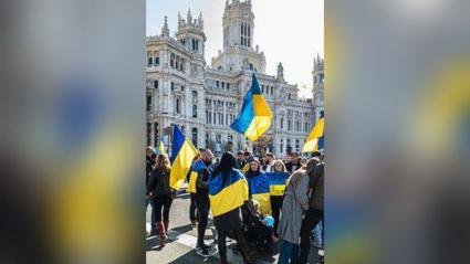 Imagen de referencia. 