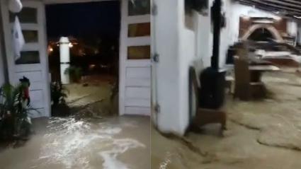 Lugar de los hechos. 