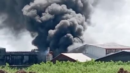 El hecho fue reportado por la línea wasapea a AL DÍA durante este lunes. 