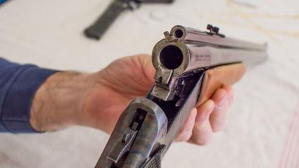 Imagen de referencia. 