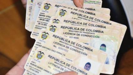 Imagen de referencia de una licencia de conducción