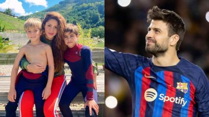 Imagen de referencia. 