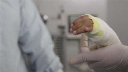 Imagen de referencia. 