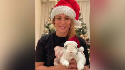 La barranquillera sorprendió a sus seguidores con un mensaje durante la noche de navidad