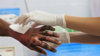 Imagen de referencia.