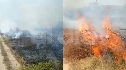 Las llamas consumen buena parte de la flora