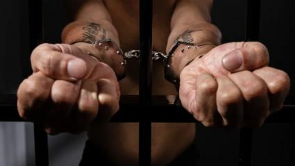 Imagen de referencia.