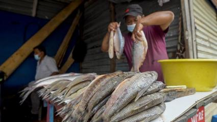 Imagen de referencia.