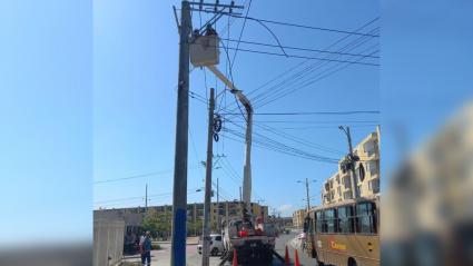 Imagen de referencia.