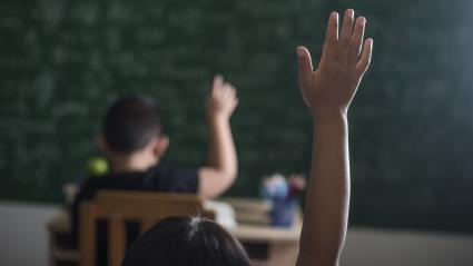 Imagen de referencia.