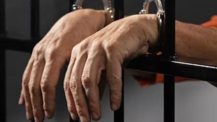 Imagen de referencia.