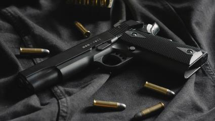 Imagen de referencia