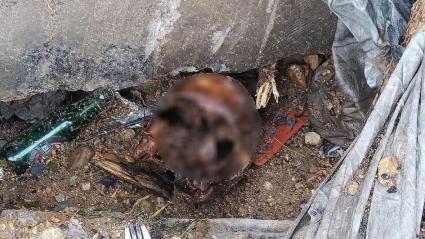 Restos hallados en Valledupar