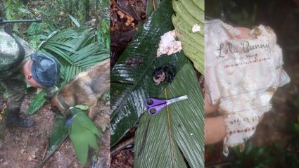 Menos desaparecidos por accidente aéreo