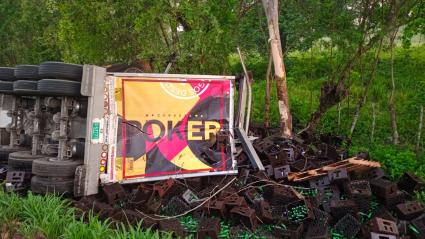 Aspecto del camión volcado en la zona enmontada