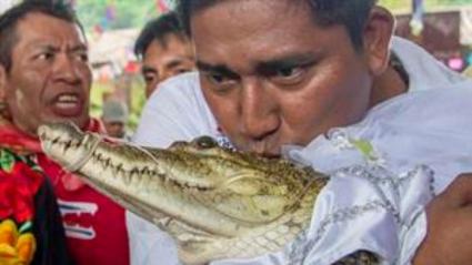 Boda de un hombre con caimán.