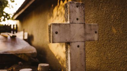 Imagen de referencia