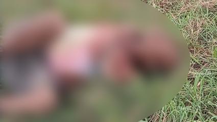 el hombre sin vida y su cuerpo censurado para evitar herir susceptibilidades