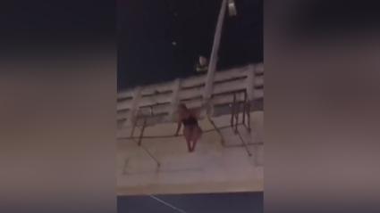 Momento en que la joven se sostiene, ligeramente tambaleante, sobre la estructura