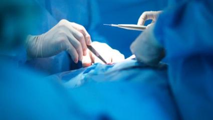 Imagen de referencia