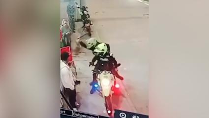 Momento de la agresión al animalito