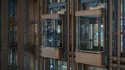 Imagen de referencia