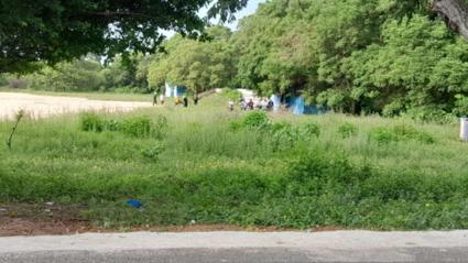 Imagen de referencia