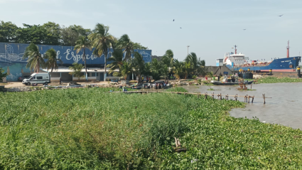 Zona de cuerpo hallado sin vida en el Río Magdalena.