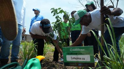 El alcalde de Barranquilla, Alejandro Char, entrega huertas comunitarias.