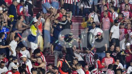 Pelea en el estadio Metropolitano.